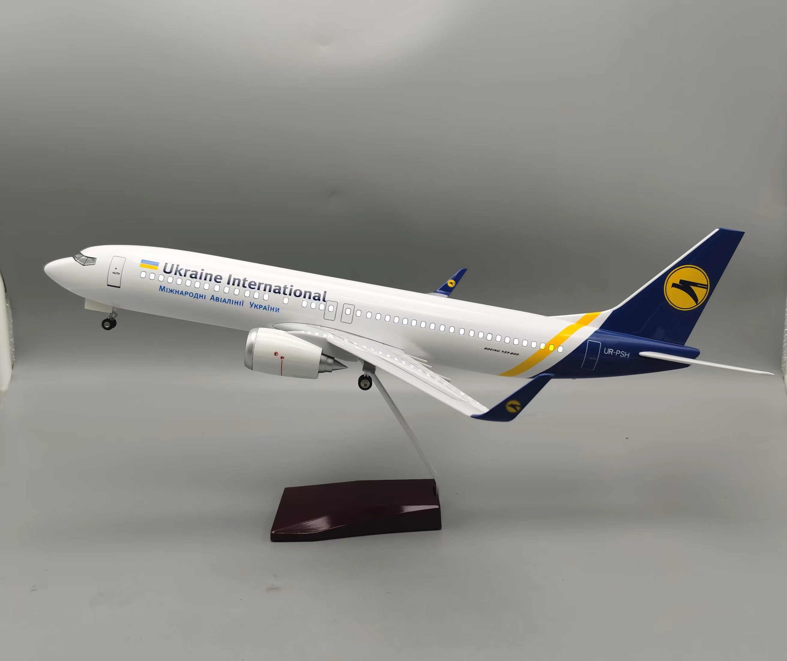 1/85 Large Scale Ukraine B737  - Model Kit Ukraine review and price