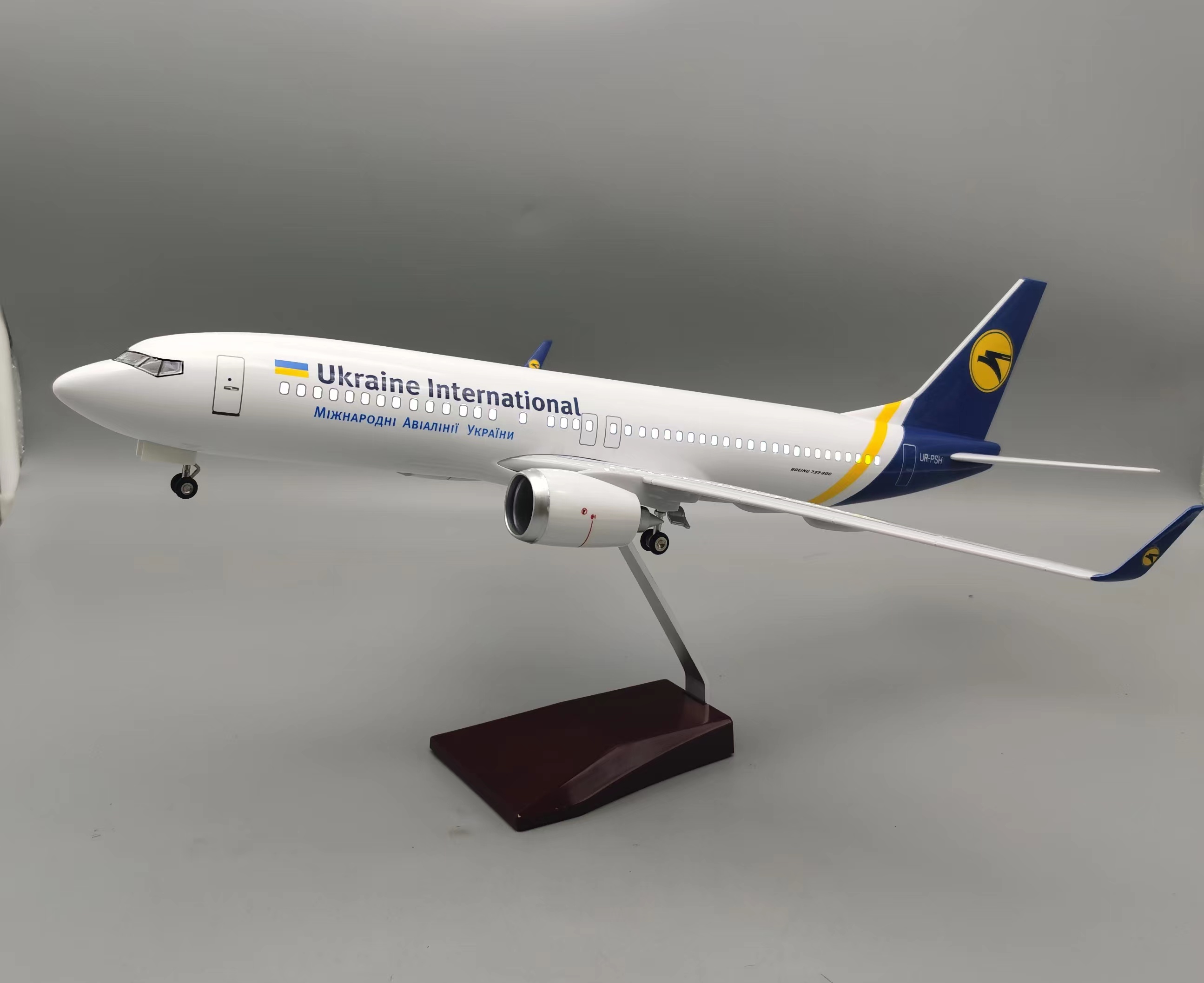 1/85 Large Scale Ukraine B737  - Model Kit Ukraine review and price
