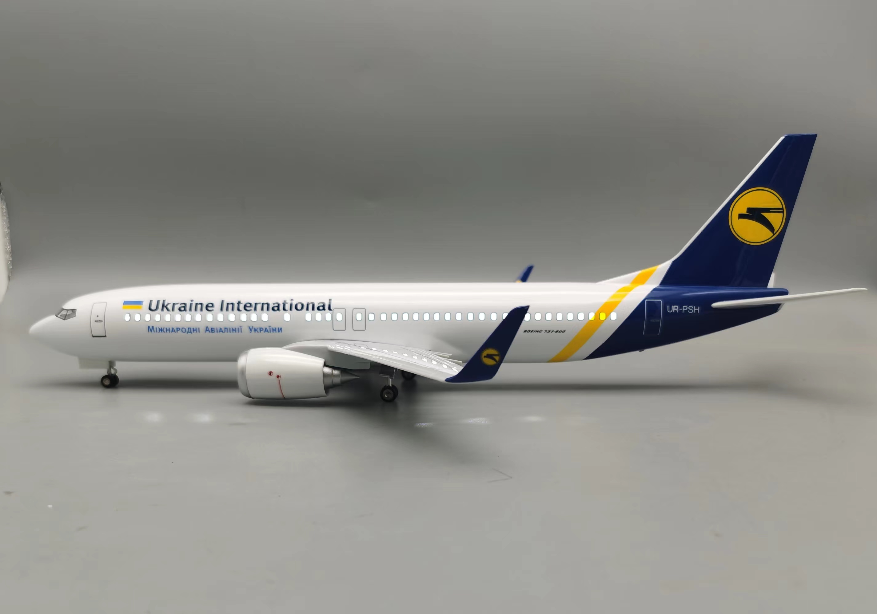 1/85 Large Scale Ukraine B737  - Model Kit Ukraine review and price