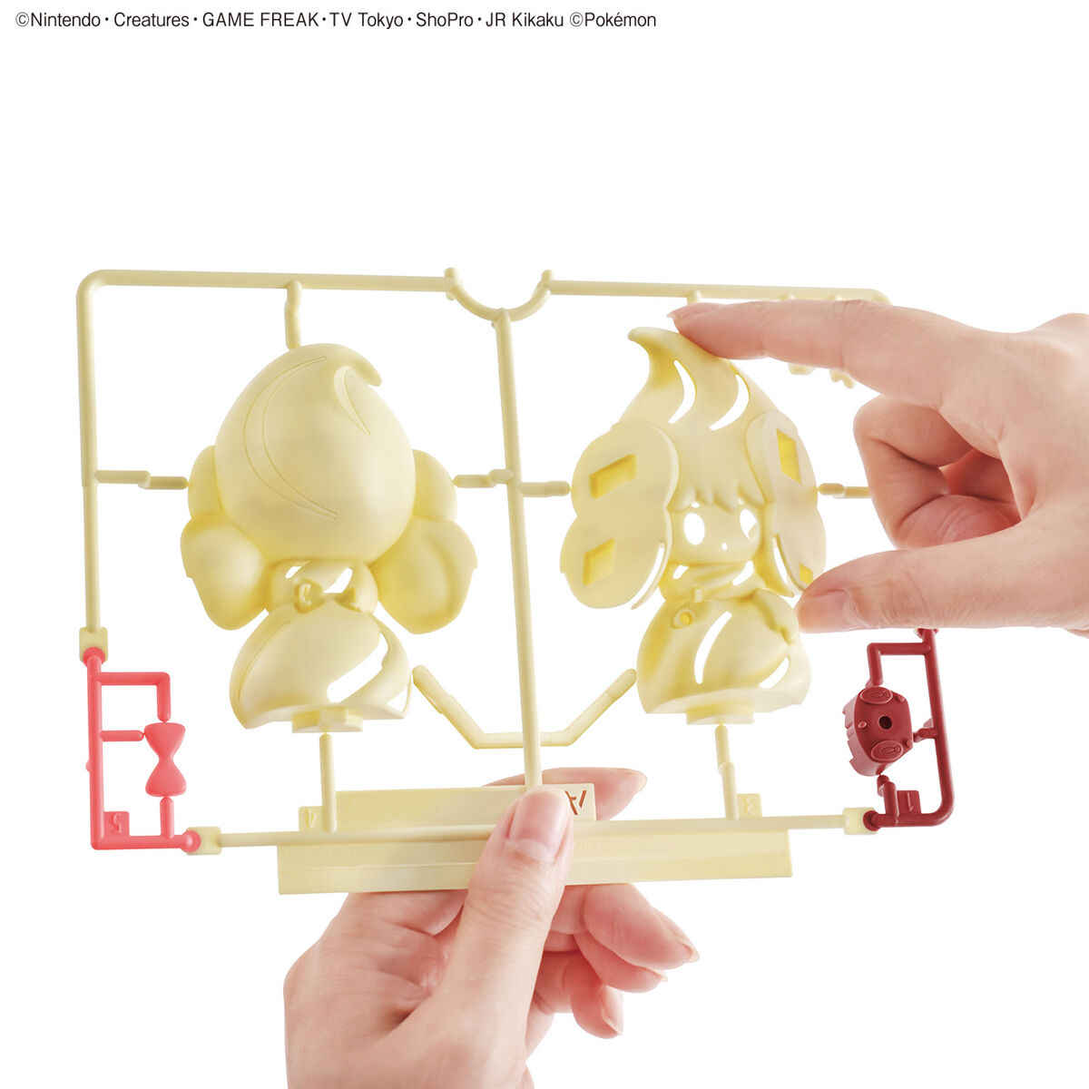 Genuine Bandai Pokemon Figures - Model Kit Quick Pokemon review and price