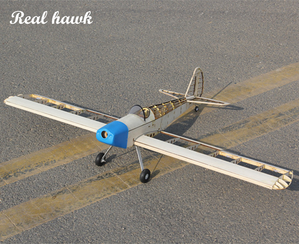 RC AirPlanes Laser Cut Balsa W - Frame Model Kit review and price