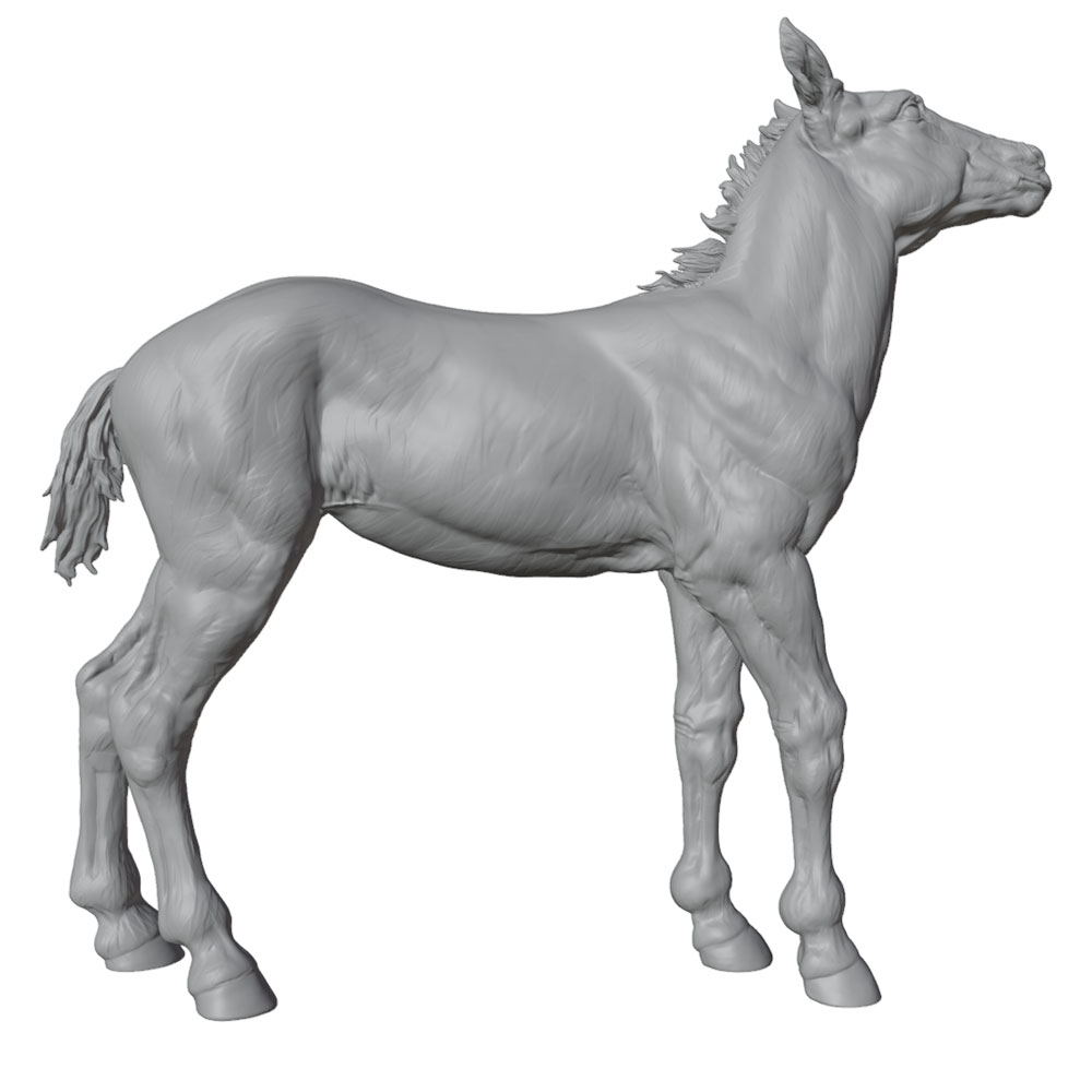 High-Detail Printing, Realisti - Model Kit Horse review and price