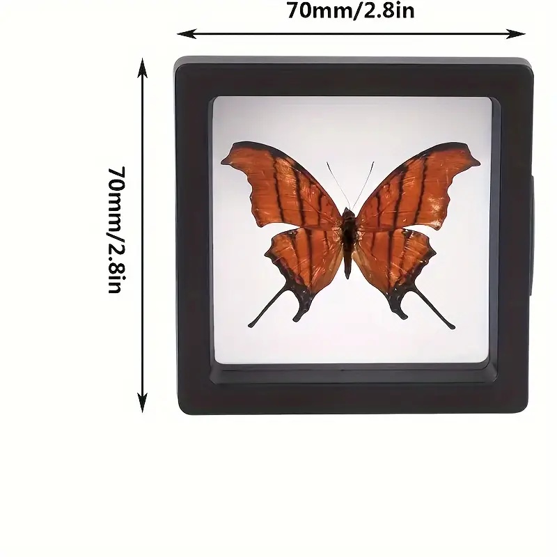 20Pcs Clearview 3D Floating Di - Model Kit Display review and price