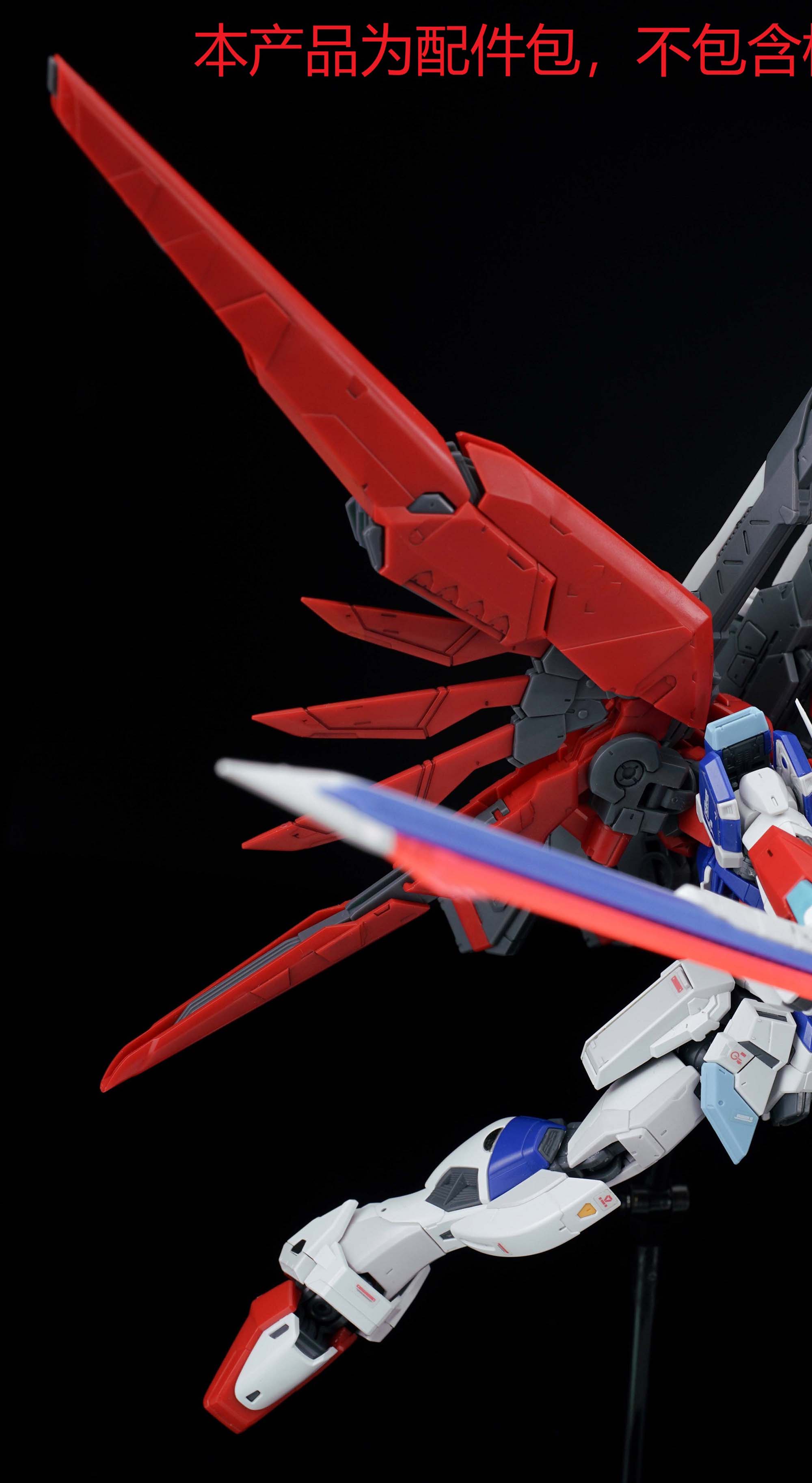 EW RG 031 1/144 Destiny Impuls - Model Kit Keroro review and price